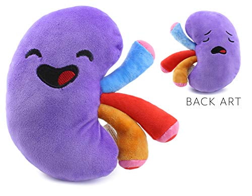 organ stuffed animals