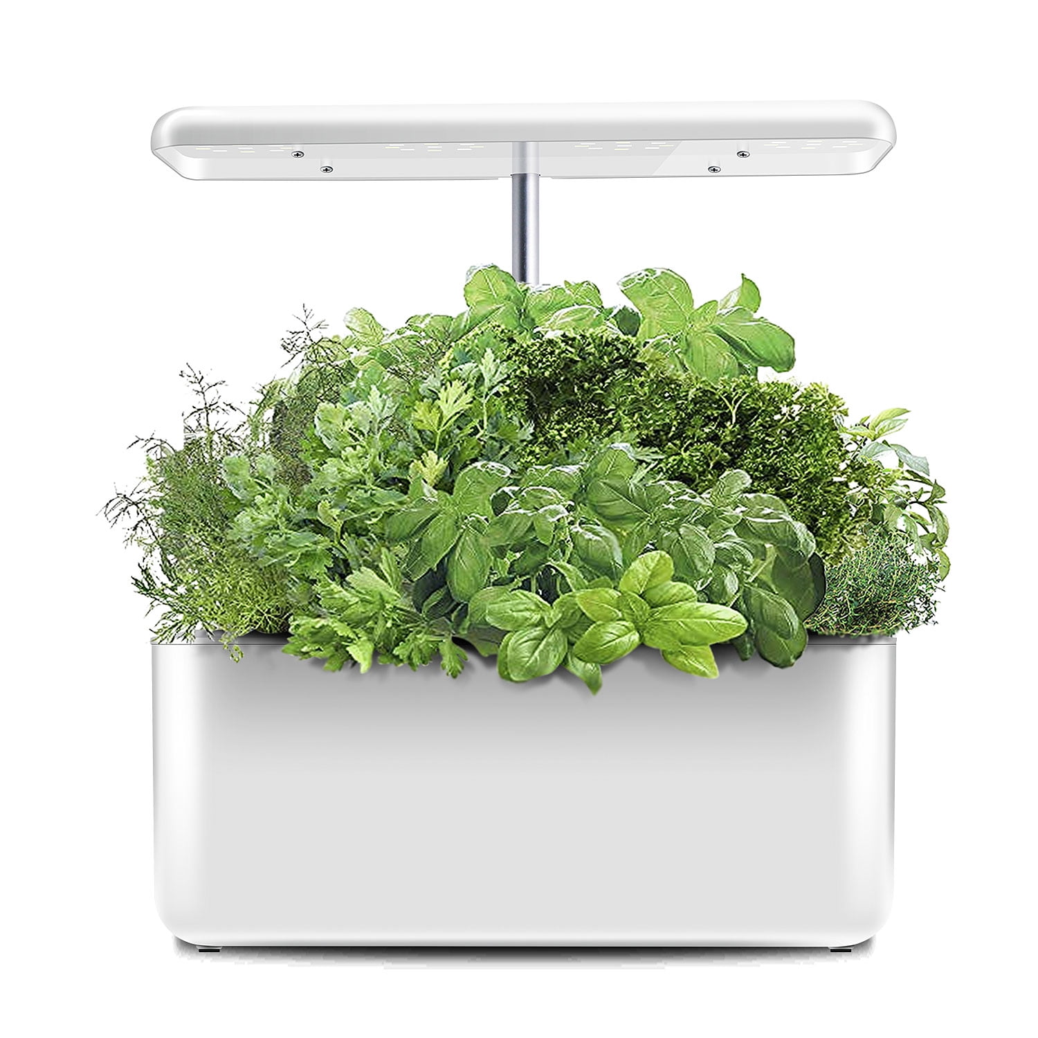 Indoor herb growing kit store with light