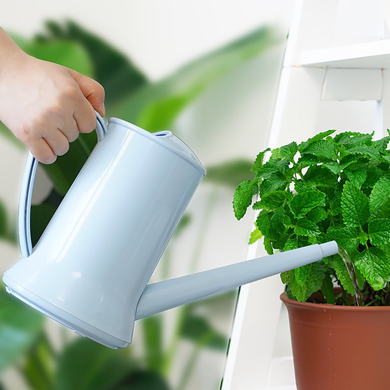 Dream Lifestyle 2L Watering Can for Indoor Plants, Small Watering Cans