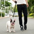 thumbnail image 6 of Downtown Pet Supply Long Lead Leash for Dog Training, Black, 20' Dog Leash, 6 of 6