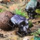 thumbnail image 5 of Simulación de insecto, escarabajo, estiércol, escarabajo verde, gusano, modelo, adorno, huevo retorcido, figura de acción, modelo, JUGUETES, 5 of 5