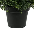 thumbnail image 6 of Vickerman 4' Potted Artificial Boxwood Cone., 6 of 9