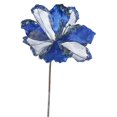 thumbnail image 1 of Tige de Fleur d'Amaryllis Bleu&44; 20 & 9 Po., 1 of 1