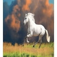 thumbnail image 3 of Horses Duvet Cover Set, Andalusian Horse with a Majestic Dust Cloud Background Strong Desires Photo, Decorative 3 Piece Bedding Set with 2 Pillow Shams, Calking Size, White Orange Green, by Ambesonne, 3 of 3
