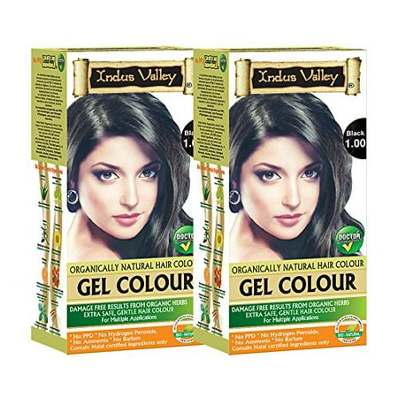 Indus Valley Herbal, Natural Gel Hair Color Black 1.00 Pack of 2 (198 * 2) (Best Herbal Hair Colour In India)