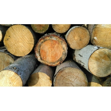 Canvas Print Holzstapel Storage Firewood Wood Stack Nature Stretched Canvas 10 x (Best Place To Stack Firewood)