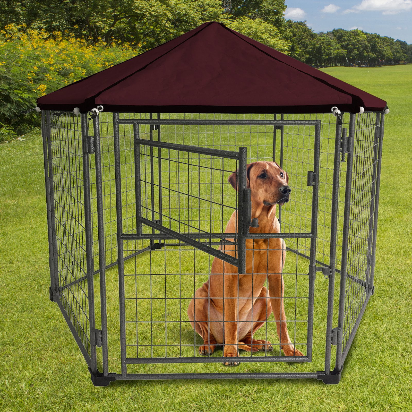 Neocraft 51/2' My Pet Companion Outdoor Pet Kennel