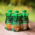 thumbnail image 3 of (9 Pack) Beech-Nut Naturals Stage 2, Variety Baby Food, 3.5 oz Pouch, 3 of 13