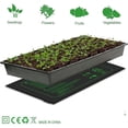 thumbnail image 6 of PVC Heat Mat Plug In Heating Mat for Efficient Plant Germination for Home Garden, 6 of 10