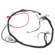 LYUMO Engine Wiring Harness Assembly CDI Unit Solenoid Plug For GY6 125cc 150cc 200cc 250cc Quad Bike ATV Go Kart,Engine Wire Harness,Engine Wiring Harness