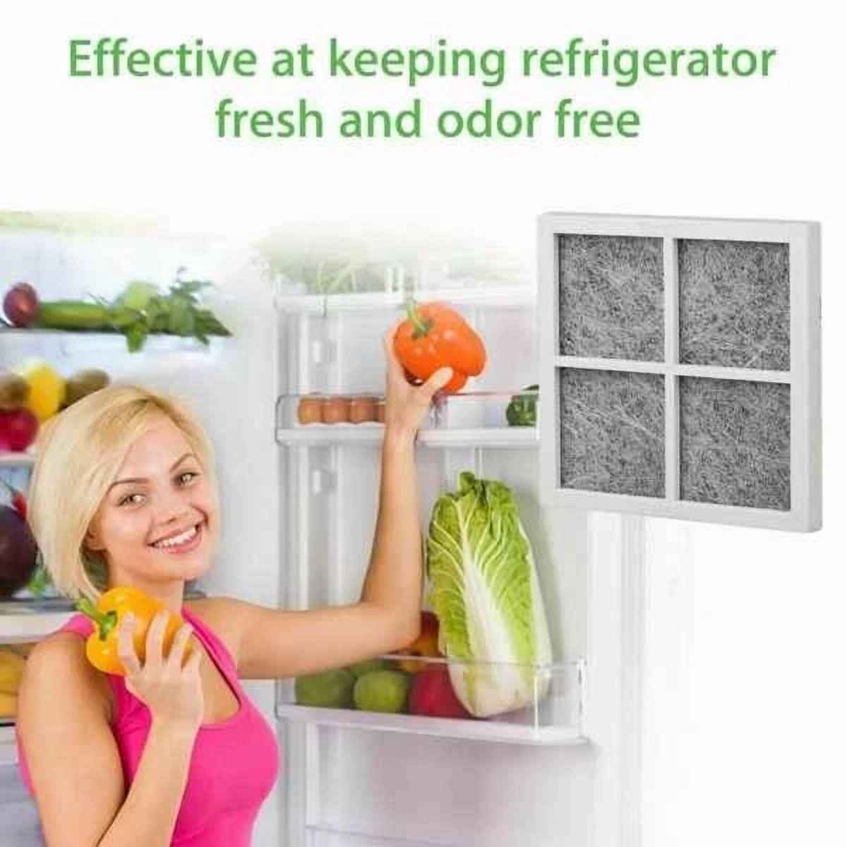 CIRCLE- 1 Pack Lg Lt120F Adq73214404 Fresh Air Replacement Refrigerator Air Filter New