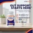 thumbnail image 5 of Vitamatic Lactobacillus Plantarum - 20 Billion per DR Capsule - 60 Count - Digestive Support - Made with Prebiotic Inulin Fiber, 5 of 10