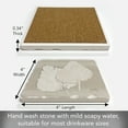 thumbnail image 6 of Thirstystone Fan Palm II Tumbled Tile Stone Coaster Create Your Own Set, 6 of 8