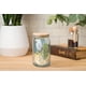 thumbnail image 5 of Vaso de cristal plateado con diseño de Mickey Mouse Buffalo Disney, 480 ml, 5 of 5