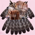 thumbnail image 2 of CafePress - 4 Wolves Dreamcatcher Infant Bodysuit - Baby Light Bodysuit, Size Newborn - 24 Months, 2 of 4