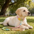 thumbnail image 4 of Slip Lead Dog Leash 5Ft Heavy Duty Rope Leash No Pull Pet Training Lead Slip Leash for Large Medium Dogs, 4 of 8