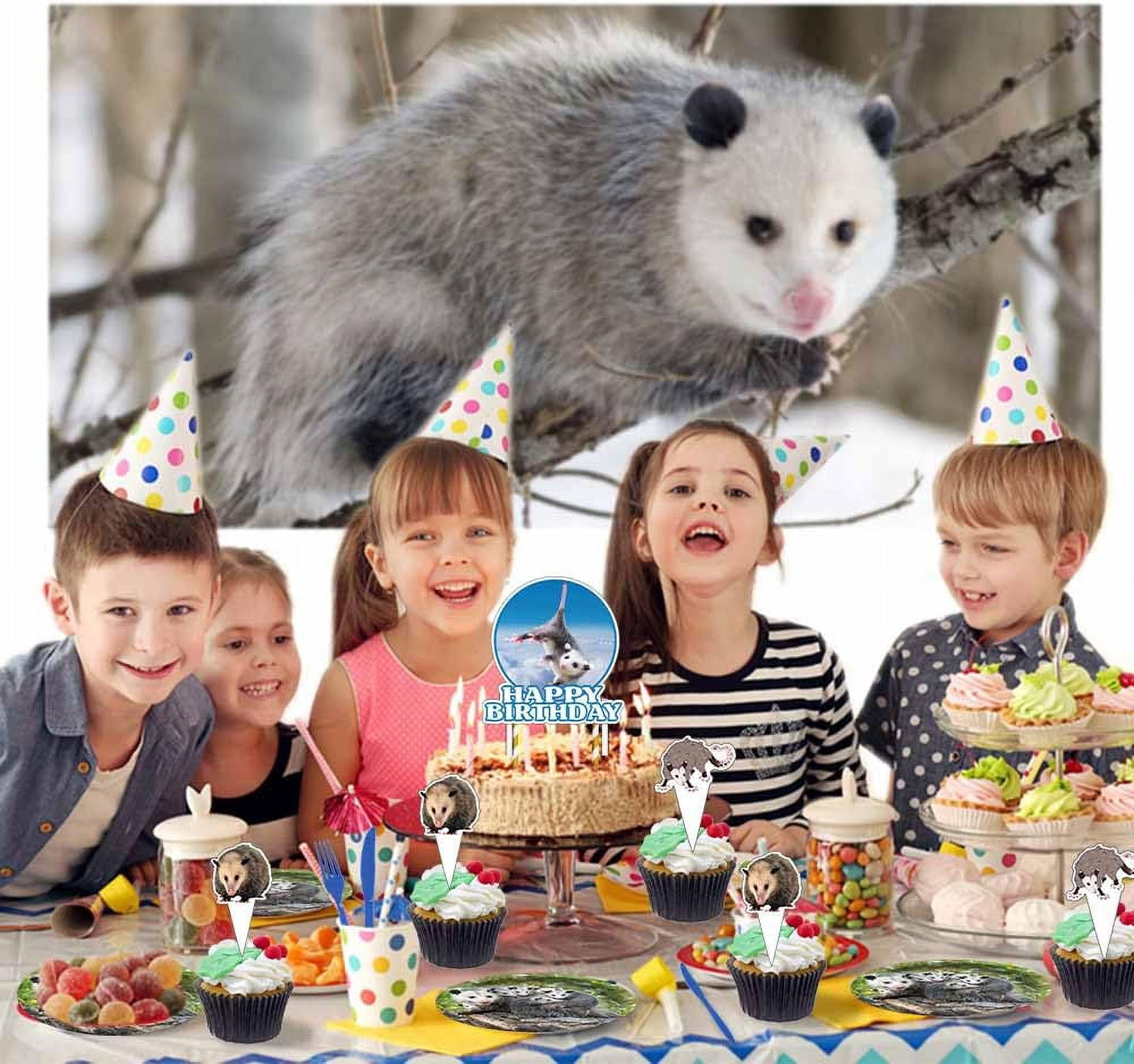 Opossum Birthday Party Supplies Decorations Plates Cake Topper Backdrop Banner Decor