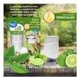 thumbnail image 3 of Aromatizante de ambiente continuo Great Value Green Tea Bliss 1 aparato difusor eléctrico y 1 repuesto, 3 of 5