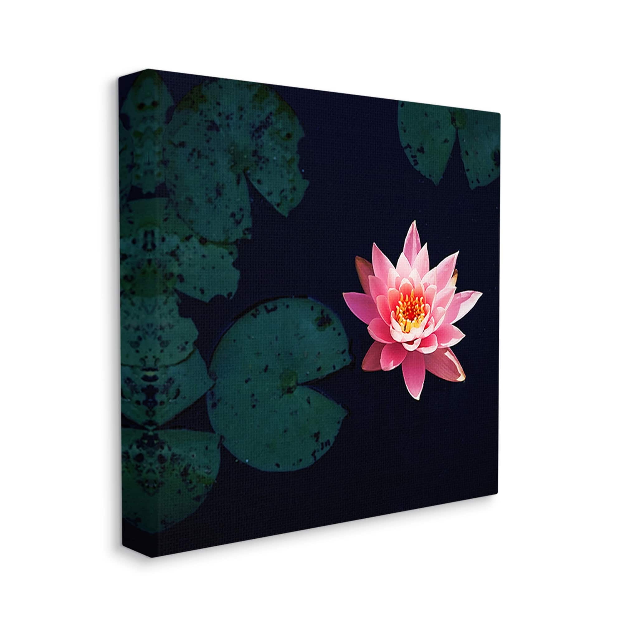 Stupell Industries Pink Lotus Pond Lily Flower Botanical & Floral Photography Gallery Wrapped Canvas Print Wall Art