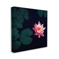 thumbnail image 3 of Stupell Industries Pink Lotus Pond Lily Flower Botanical & Floral Photography Gallery Wrapped Canvas Print Wall Art, 3 of 5