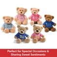 thumbnail image 3 of Baby Gift Idea G320153 Gund Im The Big Brother Teddy Bear, 3 of 4
