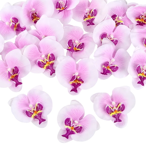20Pcs Orchid Petals Artificial Orchid Flower Heads Silk Cloth Phalaenopsis Butterfly Flowers for Wedding Table Centerpieces Cake Decor Bouquet