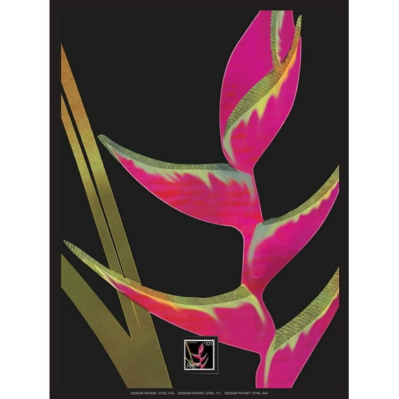 Imperial Mint Heliconia Flower Framed Artwork w/ Postage Stamp