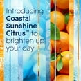 thumbnail image 3 of Glade PlugIns Refills Air Freshener Starter Kit, Scented and Essential Oils for Home and Bathroom, Coastal Sunshine Citrus, 4.02 Fl Oz, 2 Warmers + 6 Refills, 3 of 5