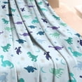 thumbnail image 3 of LightBlue Dinosaurs Stars Moons Pattern Blanket,Comfortable Soft Flannel Throw Blanket,All Season,Warm Lightweight Blankets for Sofa Bed Couch Living Room Chair,40"x50", 3 of 4