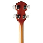 Washburn B9 Americana Series (5 String) Banjo. Sunburst