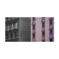 Trademark Fine Art Yuriy Grytsiv Blackapink Canvas Wall Art