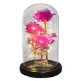 thumbnail image 6 of hengsof Rose Flowers with LED Lights and Falling Petals, Valentine's Day Rose Gifts for Women, Birthday Gifts for Mom, Light Up Rose in Glass Dome, Flowers Gifts for her, 6 of 6