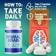 thumbnail image 4 of Primal Brain Advanced Formula Brain Support Pills Maximum Strength Supplement PrimalBrain 120 Capsules, 4 of 9