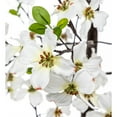 thumbnail image 4 of Indoor/Outdoor Electric Lighted Faux Dogwood Tree 6' Tall, 4 of 6