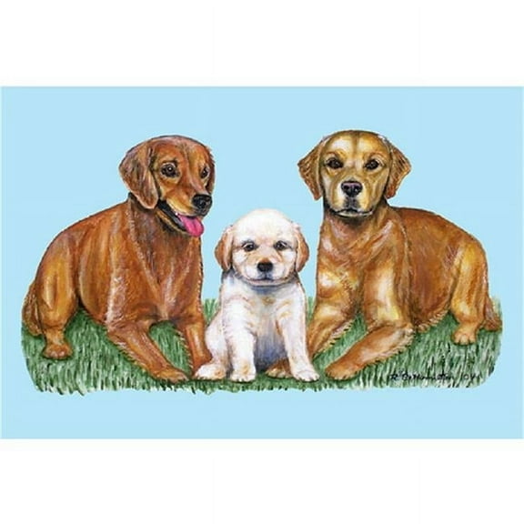 Betsy Drake DM837 Golden Retriever Door Mat 18''x26''