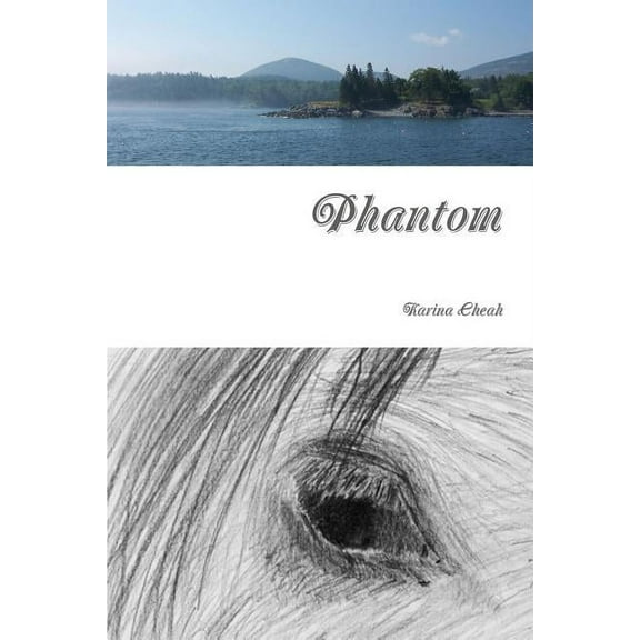 Phantom, (Paperback)
