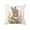 A5420, variant on Wooowa Easter Festival Bunny Egg Pattern Decorative Throw Pillow Case, for Sofa Couch Living Room and Easter Home Decor