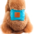 thumbnail image 1 of CAROOTU Couches Réutilisables Lavables pour Chien Coton Respirant Chiot Bandes de Ventre Crochet & Boucle Sanitaire Réglable Pantalon pour Animal de Compagnie, 1 of 7
