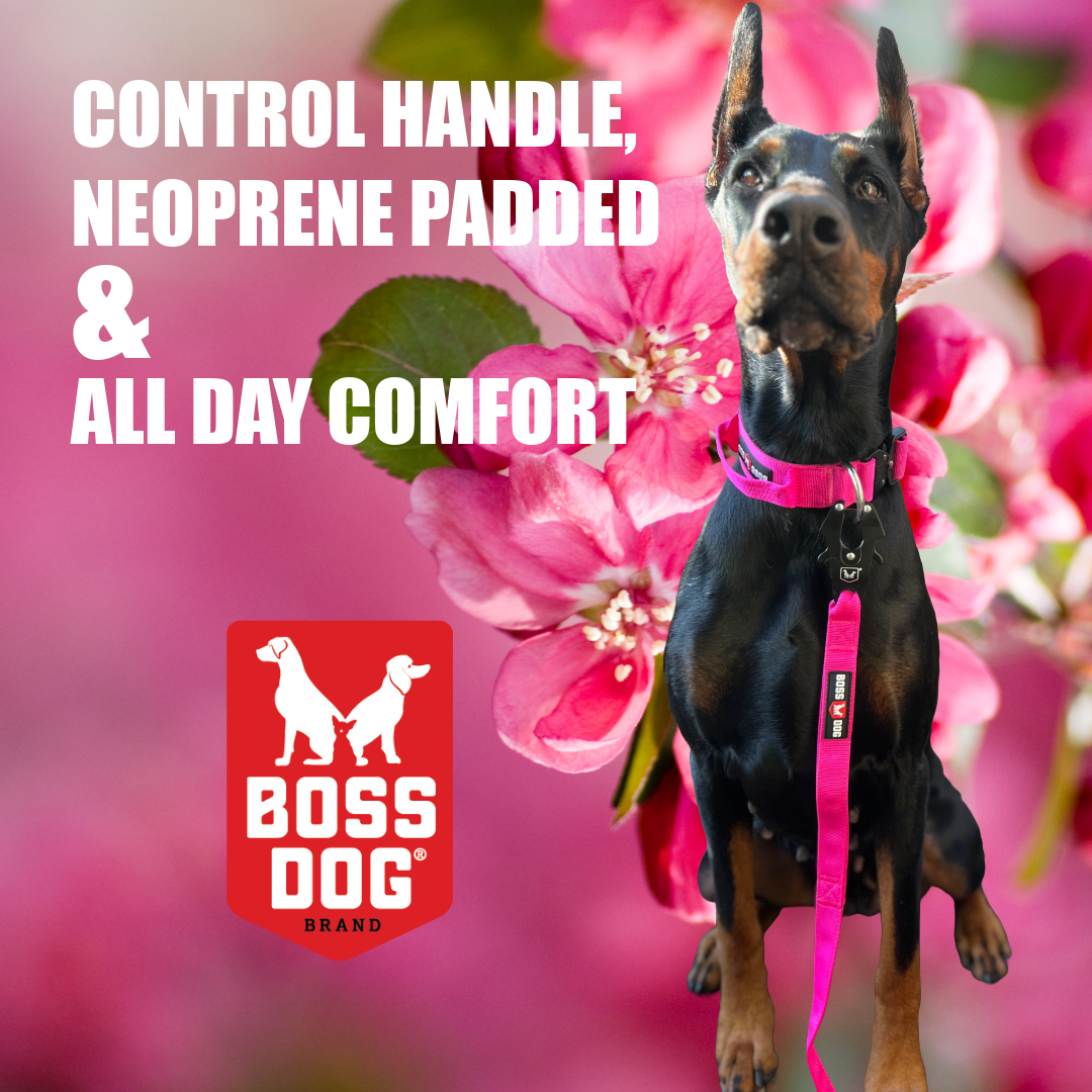 Boss Dog Proseries™  Heavy Duty, Padded Safety Collar, Hot Pink, XL