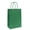 Grass Green, variant on IN-JOOYAA Multi Color Gift Bags Small Size Kraft Paper Gift Bags with Handles 12 Pcs (Rainbow, 5 x 3.1 x 8.2 in)