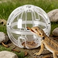 thumbnail image 5 of Interactive Reptile Feeder Ball - Bearded Dragon Enrichment Toy & Slow Feeder for Live Worms, Terrarium Tank Decor for Lizards, Geckos, Chameleons, 5 of 6