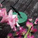 thumbnail image 4 of 10 bloques redondos para floristería, soportes para flores, bloques florales para tiendas de arreglos florales., 4 of 6
