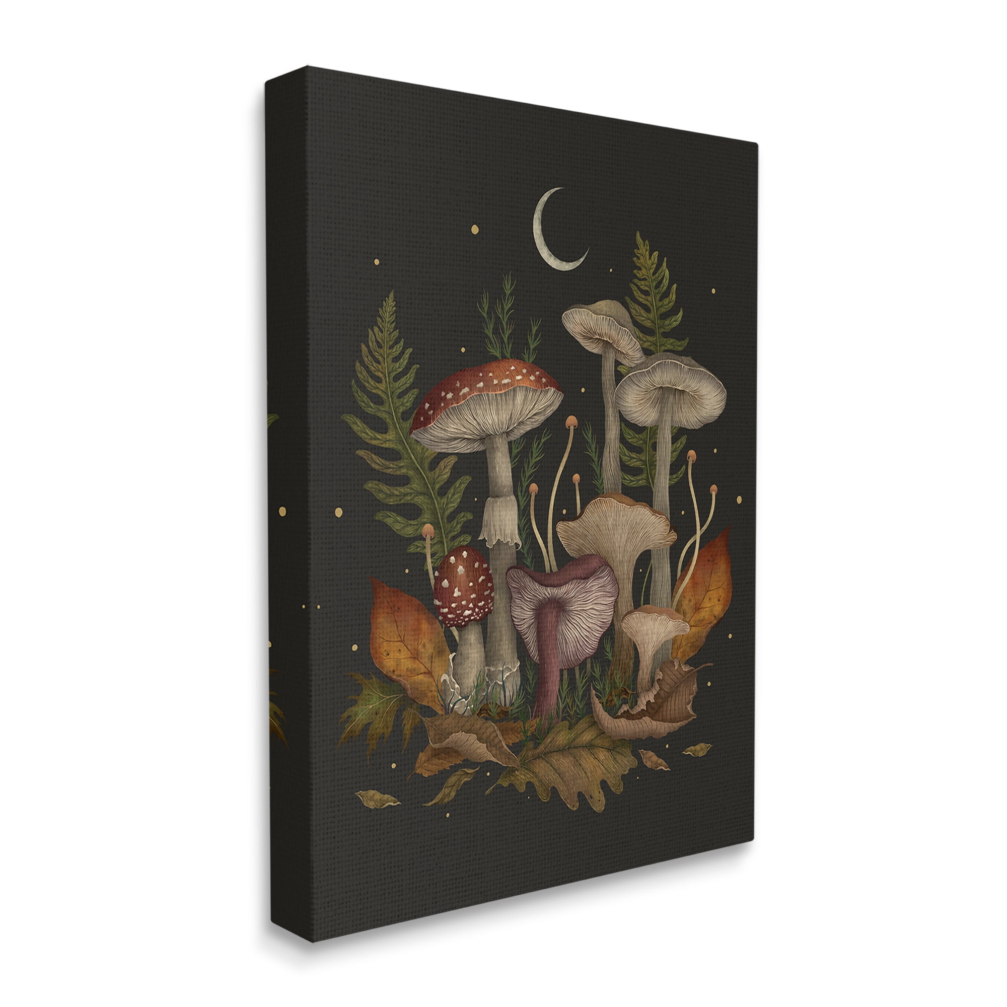 Stupell Industries Dark Mushrooms with Moon Botanical & Floral Painting Gallery Wrapped Canvas Art Print Wall Art, 16 x 20