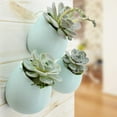 thumbnail image 7 of Arcadia Garden Products Small Round Wall Planter, Matte Mint, 7 of 7