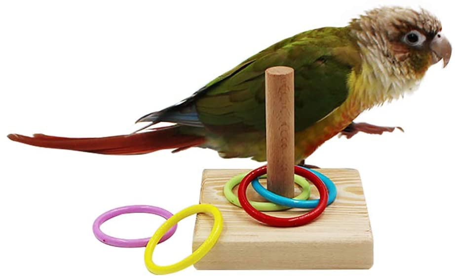 Triangle Training Toys Parrot Toy Multicolor Brain Game Chew Toy Puzzle Toy FI