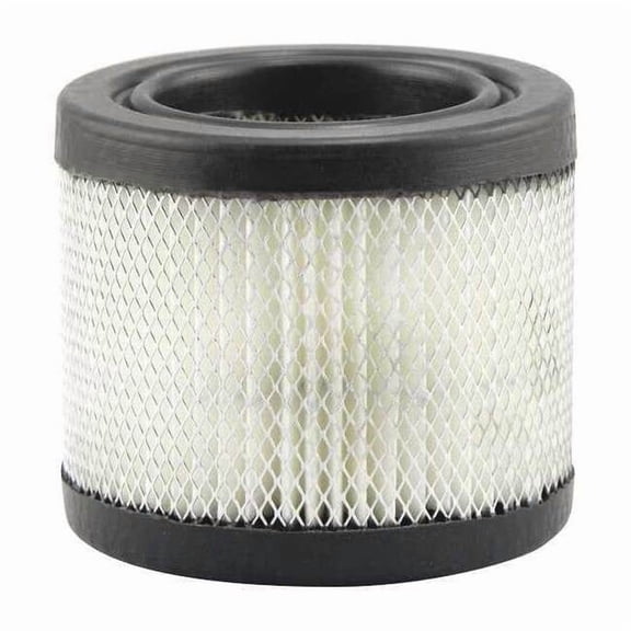 Baldwin Filters Air Filter,2-15/16 x 2-9/16 in. PA1603