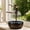 Type 2, variant on Waterfall Bluetooth Speaker Fountain, 2026 NEW Artistic Ballerina Sculpture Bluetooth Speaker with Flowing Water Skirt, Calming Decor for Home, Meditation,Yoga
