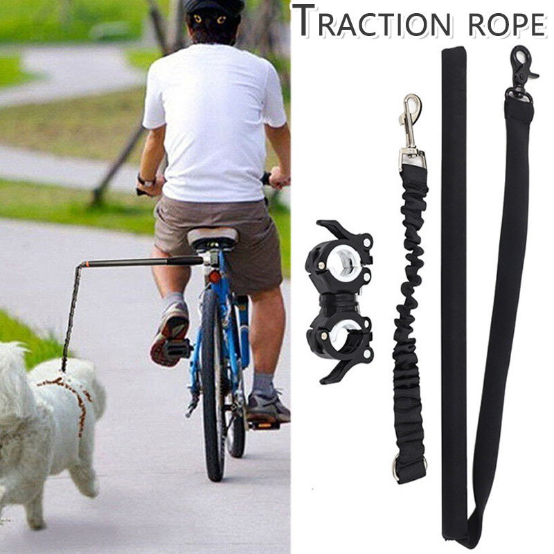 retractable dog leash hands free