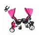 thumbnail image 2 of Triciclo The Baby Shop  JE-TC0010 Doble para Niños 2 Asientos Giratorios Rosa - Bastón Dirigible, 2 of 4