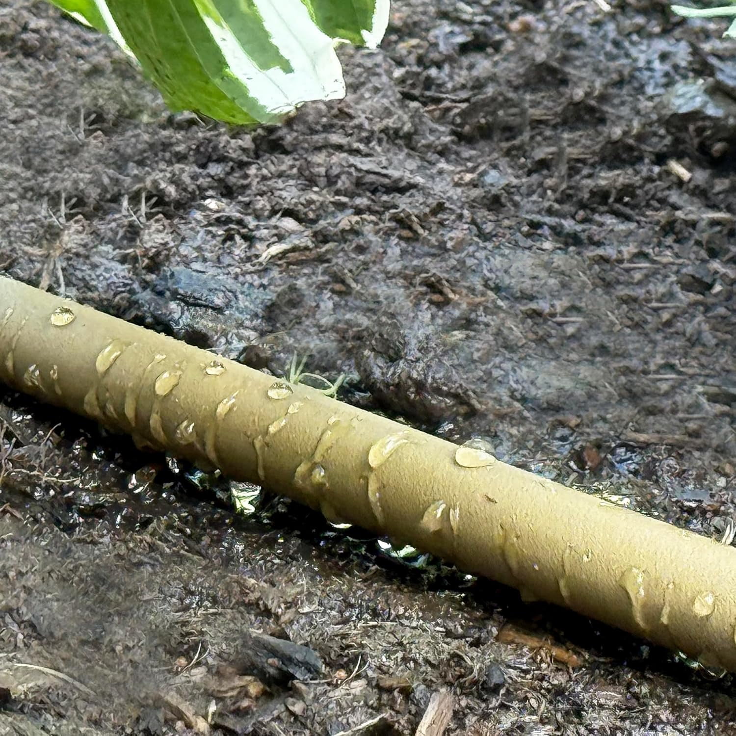 Water Right SKR-050-MU Soaker Garden Hose, 50-Foot, Bristle Grass